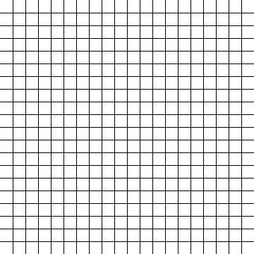 20 by 20 Blank Graph Paper - Have Fun Teaching